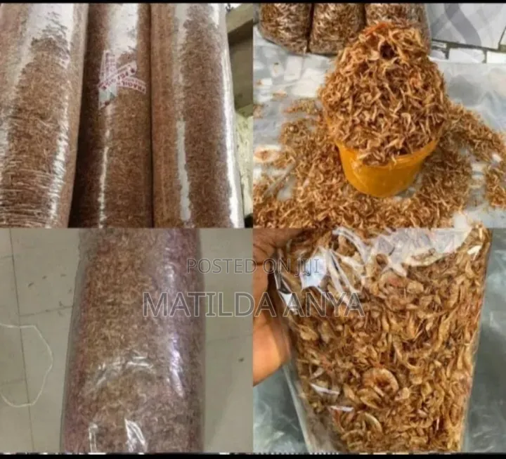 Oron Crayfish,Bonga Fish,River Catfish
