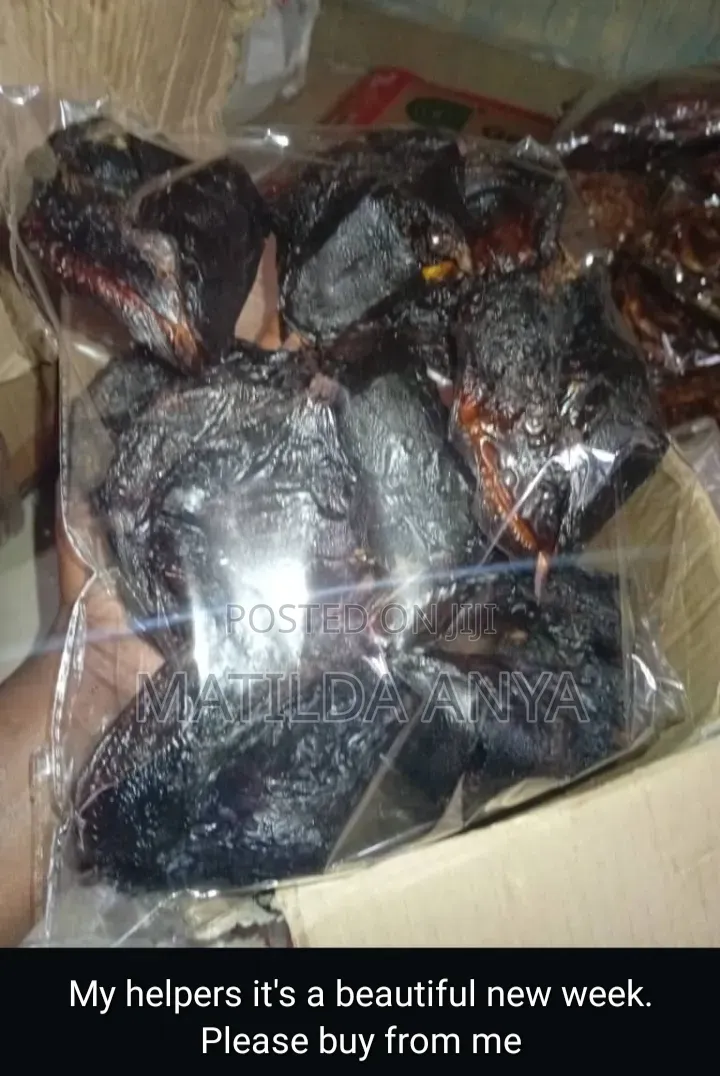 Oron Crayfish,Bonga Fish,River Catfish