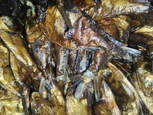 Oron Crayfish,Bonga Fish,River Catfish