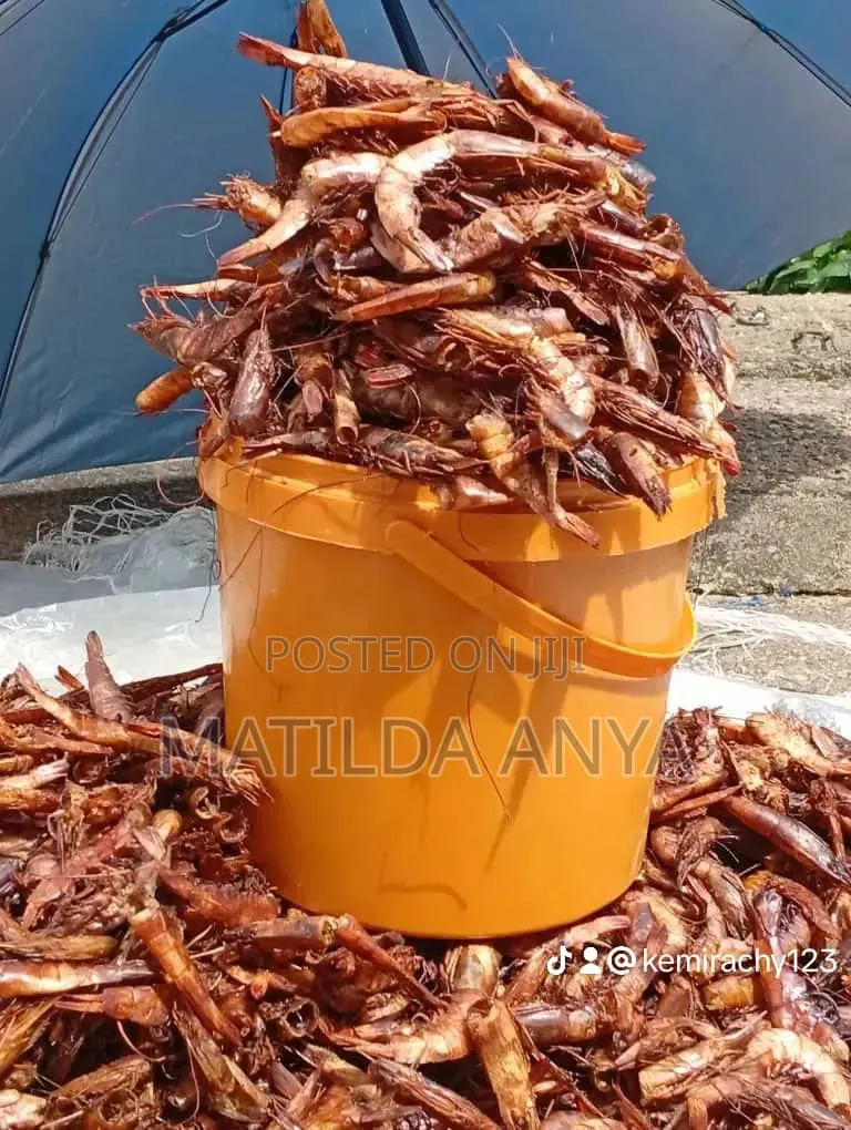 Oron Crayfish,Bonga Fish,River Catfish