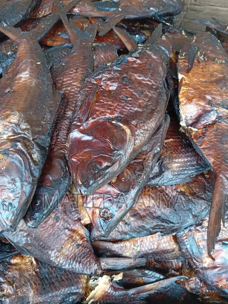 Oron Crayfish,Bonga Fish,River Catfish