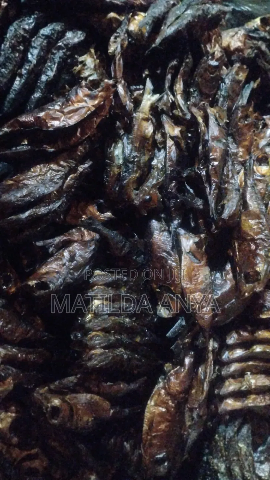 Oron Crayfish,Bonga Fish,River Catfish