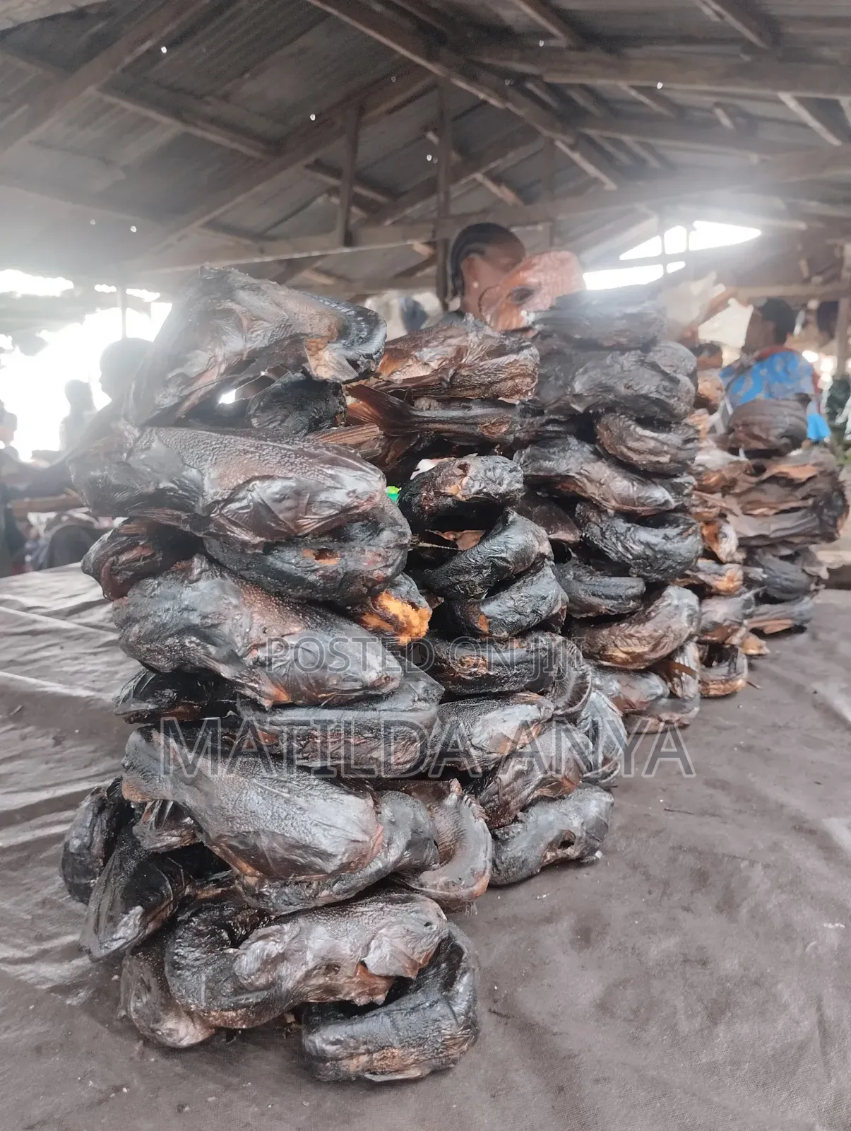 Oron Crayfish,Bonga Fish,River Catfish