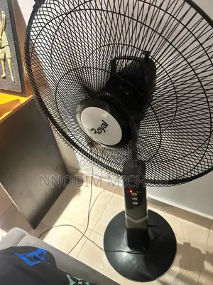 For Sale: Royal Standing Rechargeable Fan