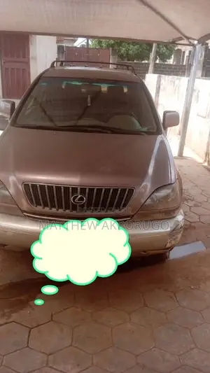 Lexus RX 2004 Brown