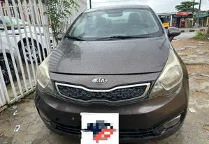 Kia Rio 2014 Gray