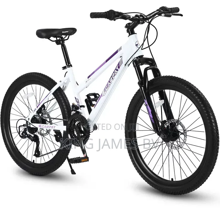 Mountain Bicycle