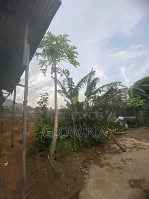 25m X 25m Lands for Sale – Clear Title, Ready to Build