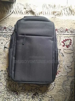 Black Everyday Backpack.