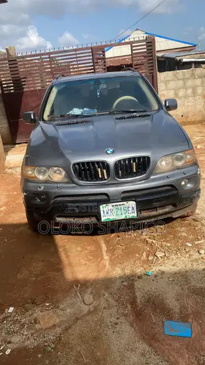 BMW X5 3.0i 2008 Gray