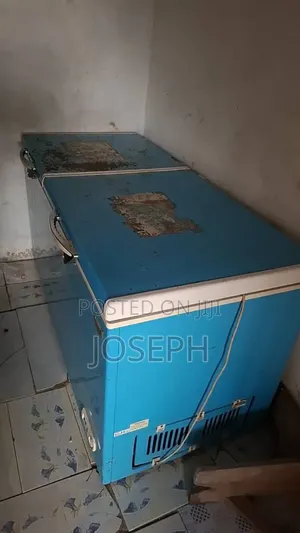 Nexus Double Door Chest Freezer (Model Nx-695c)