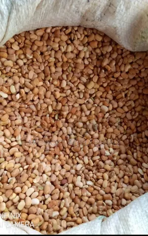 Oloyin Beans