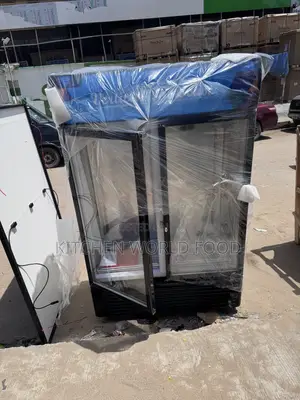 Double Vertical Display Chiller