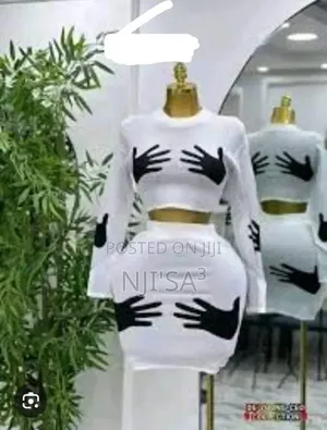 Body Hug Skirt and Blouse