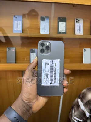Apple iPhone 12 Pro Max 128 GB Gray