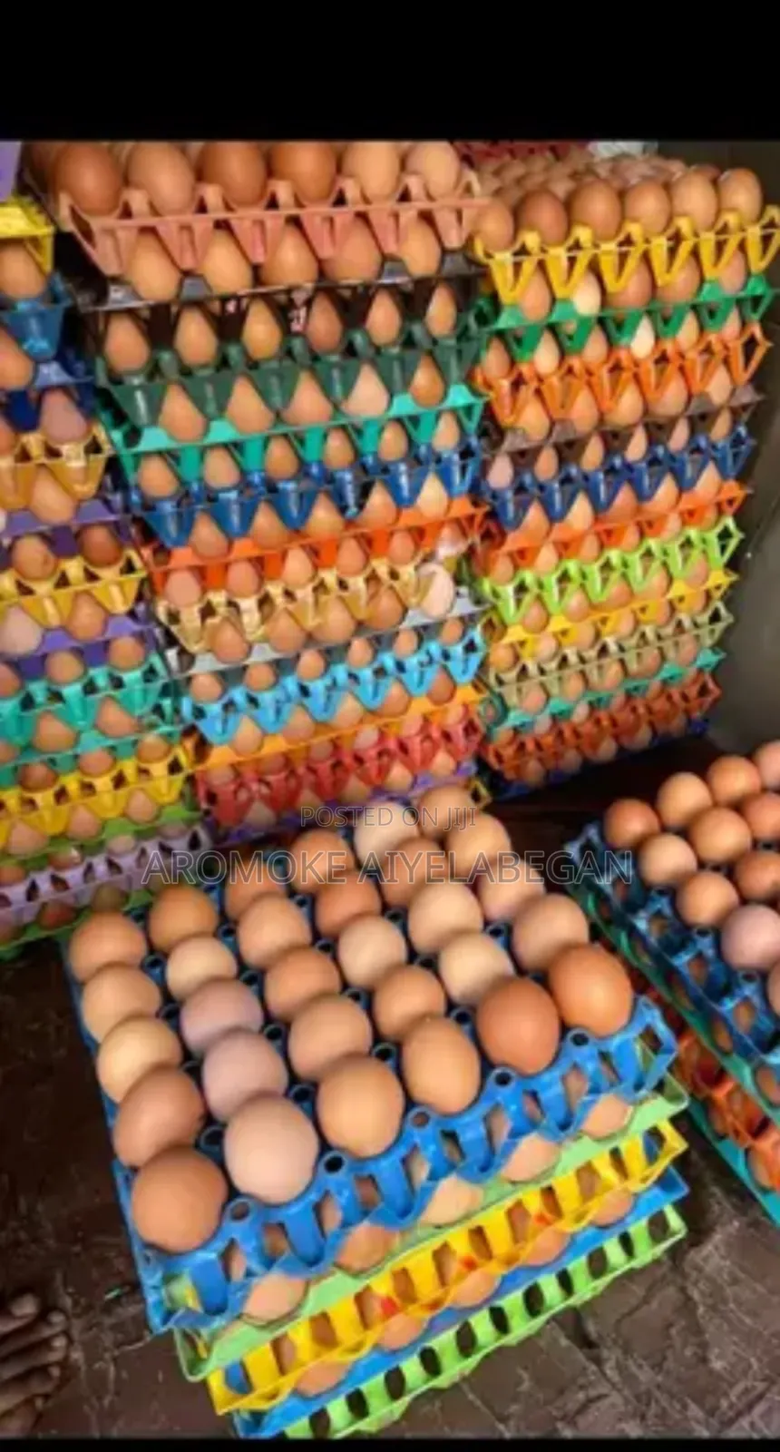 Fresh Egg, Quality You Can Trust