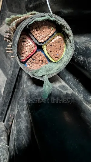 Armored Cable 150mm