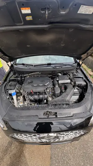 Hyundai Sonata Limited 2.0T 2019 Black