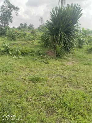 36 Plots of Land