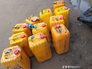 Unadulterated Palm Oil