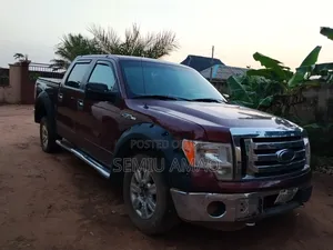 Ford F-150 2010 Maroon