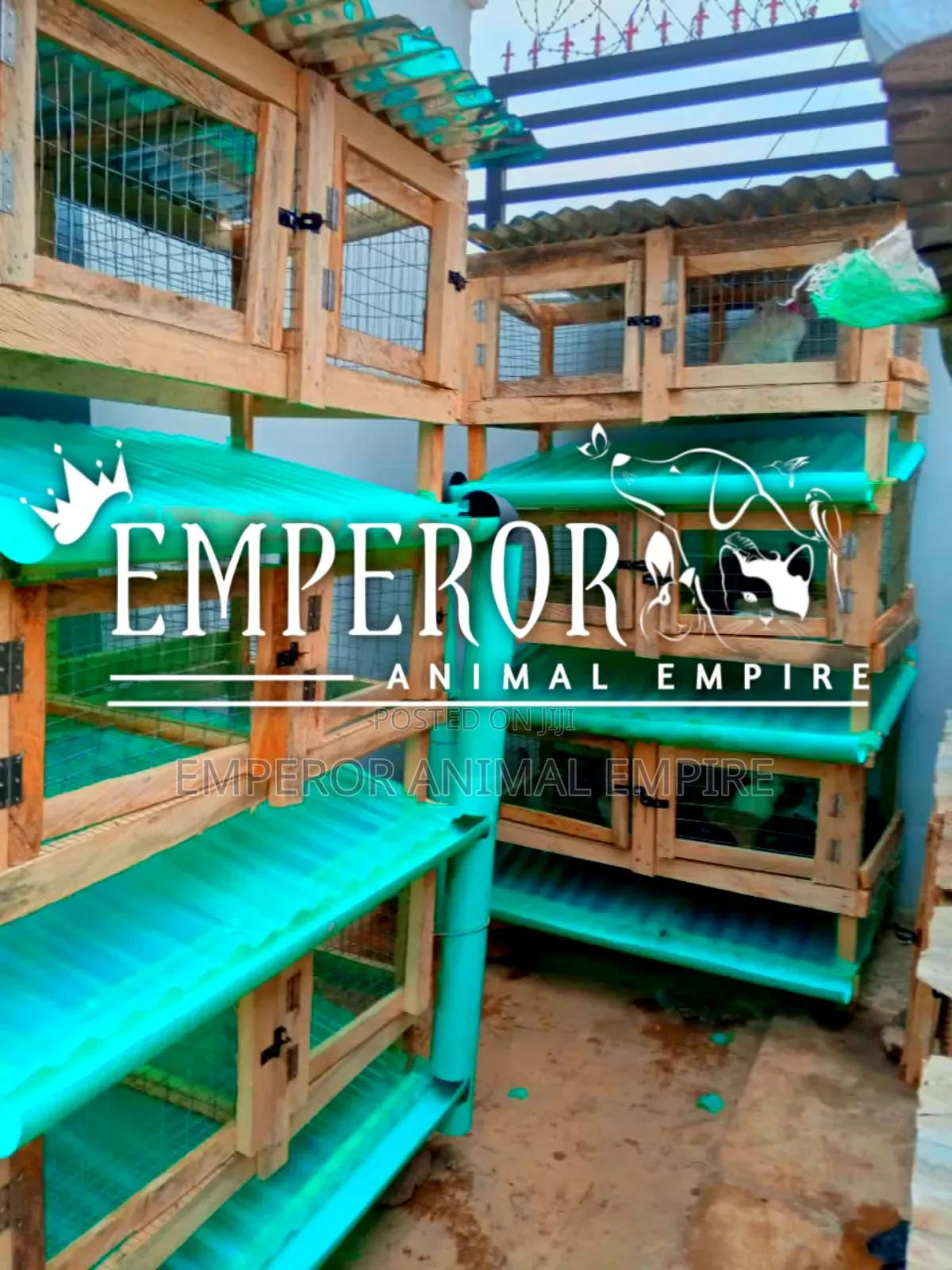 Emperor Animal Empire