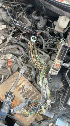 Automobile Technician