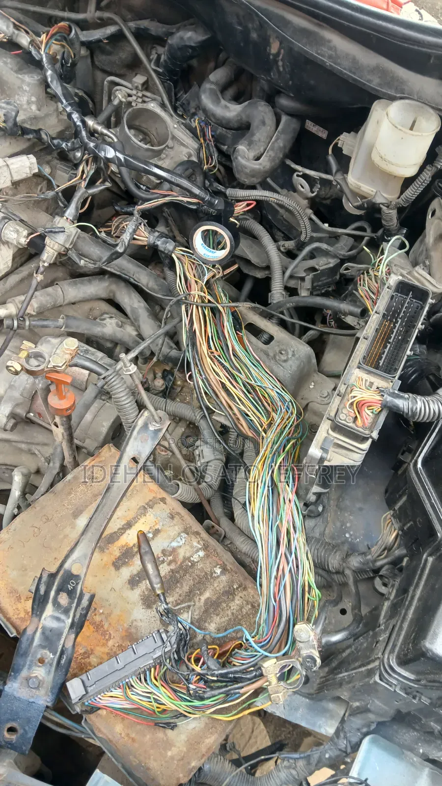 Automobile Technician