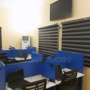 Customized Window Blinds