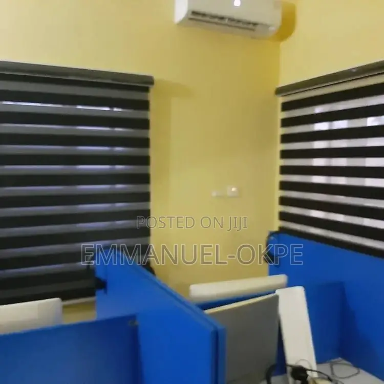 Customized Window Blinds