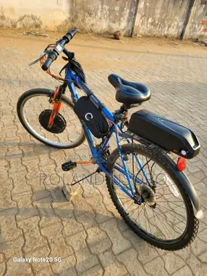 Rallye Descent Electric Bike for Adults