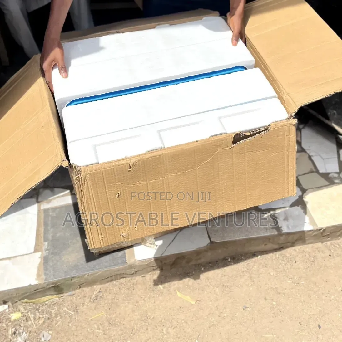 Fully Automatic Egg Incubator