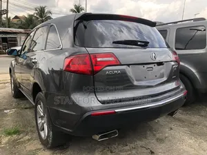 Acura MDX 2010 Gray