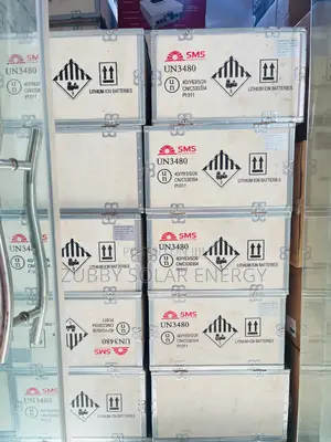 5kwh 24v SMS Lithium Battery