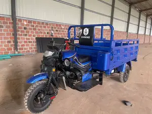 New Tricycle 2024 Blue