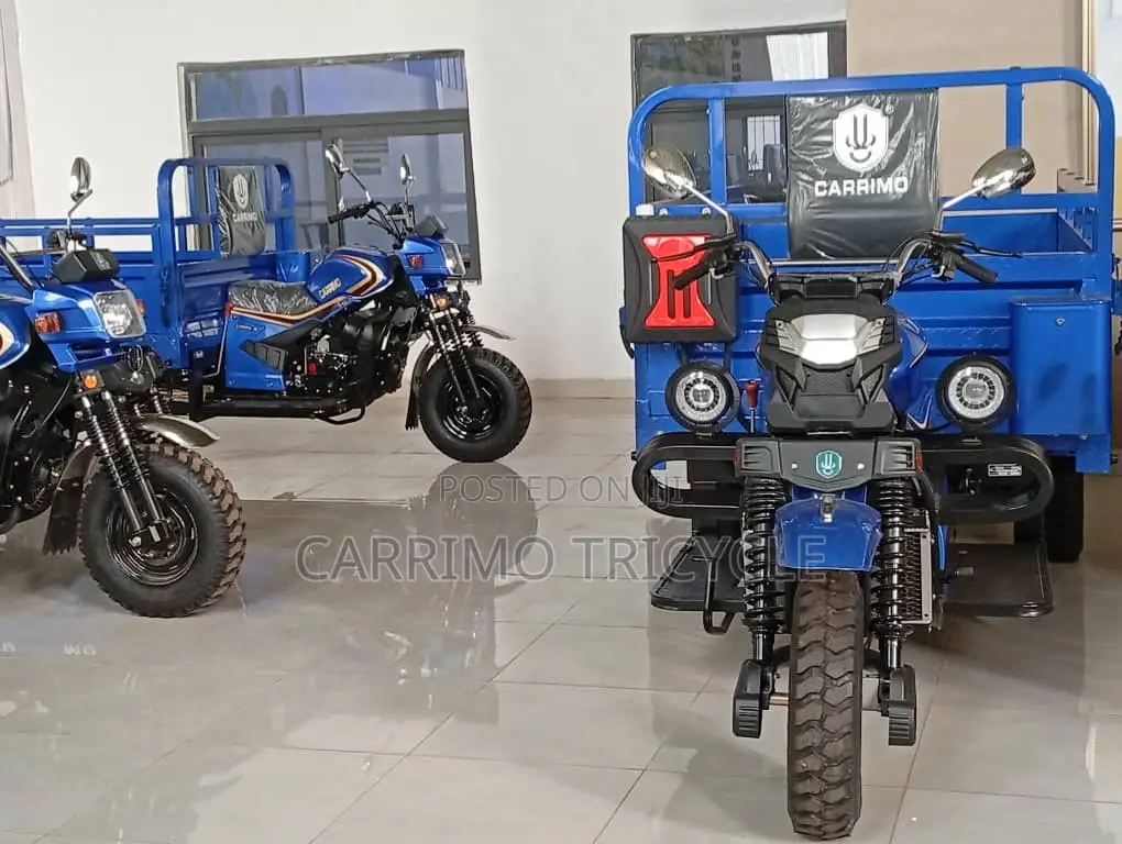 New Tricycle 2024 Blue