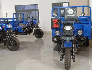 New Tricycle 2024 Blue