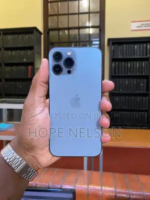 Apple iPhone 13 Pro 256 GB Gray