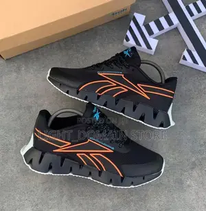 Reebok Zig Dynamica2