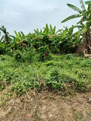Beautiful Land Available for Sale at Ewet Housing