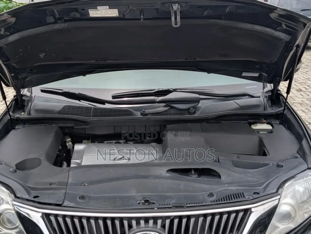 Lexus RX 2010 Black