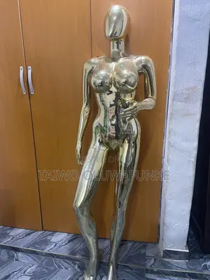 Mannequin for Fashion Display