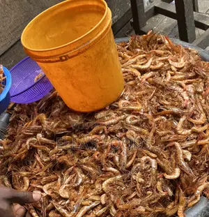 Big Crayfish (Prawns)