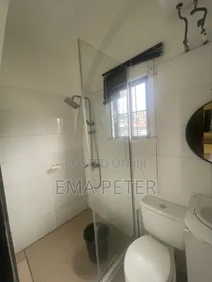Shower Glass Door