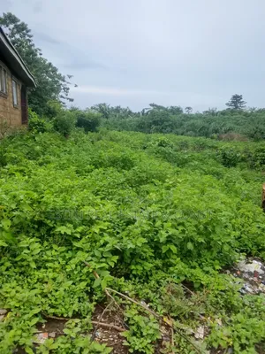 4bdrm Bungalow in Ibadan for sale