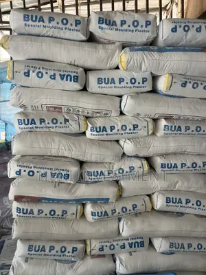 P.O.P Pop White Cement Plaster