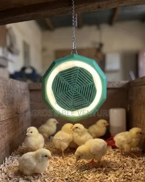 Warm Air Lamp