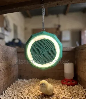 Warm Air Lamp