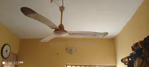 Ceiling Fans