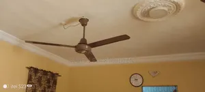Ceiling Fans